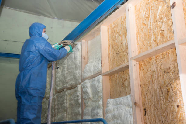 Best Cellulose Insulation  in Paducah, KY